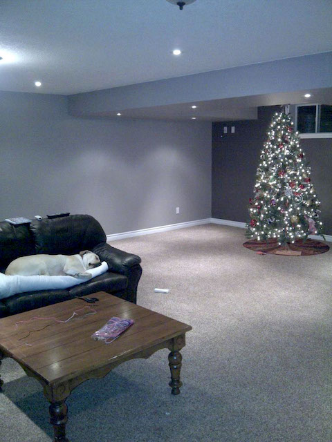 Finishing basement - nice tree!